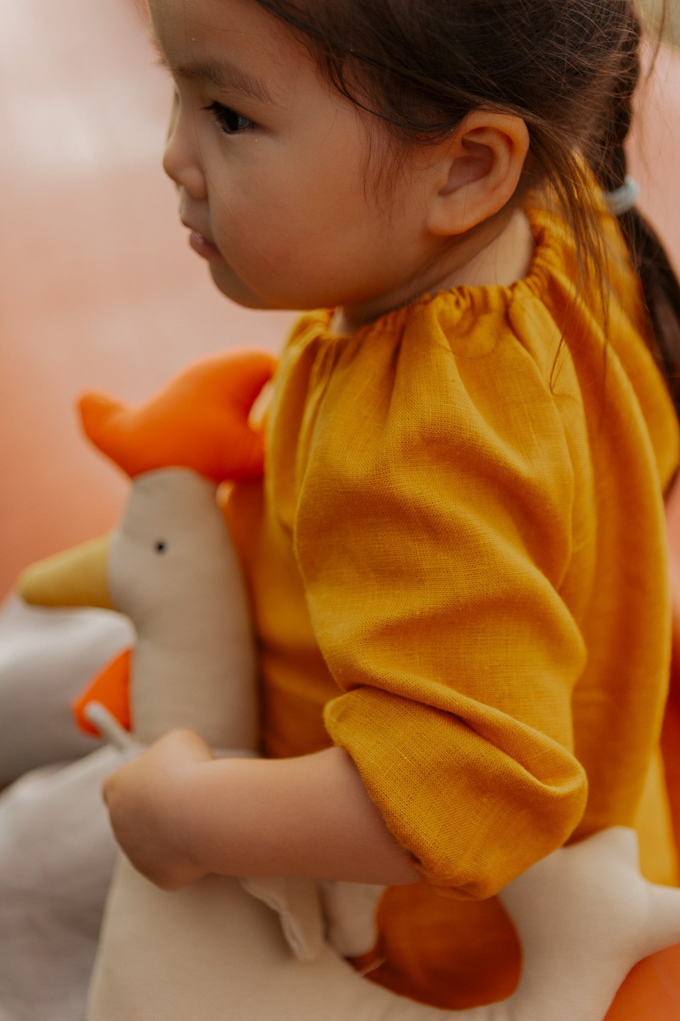 Balloon Sleeve Blouse