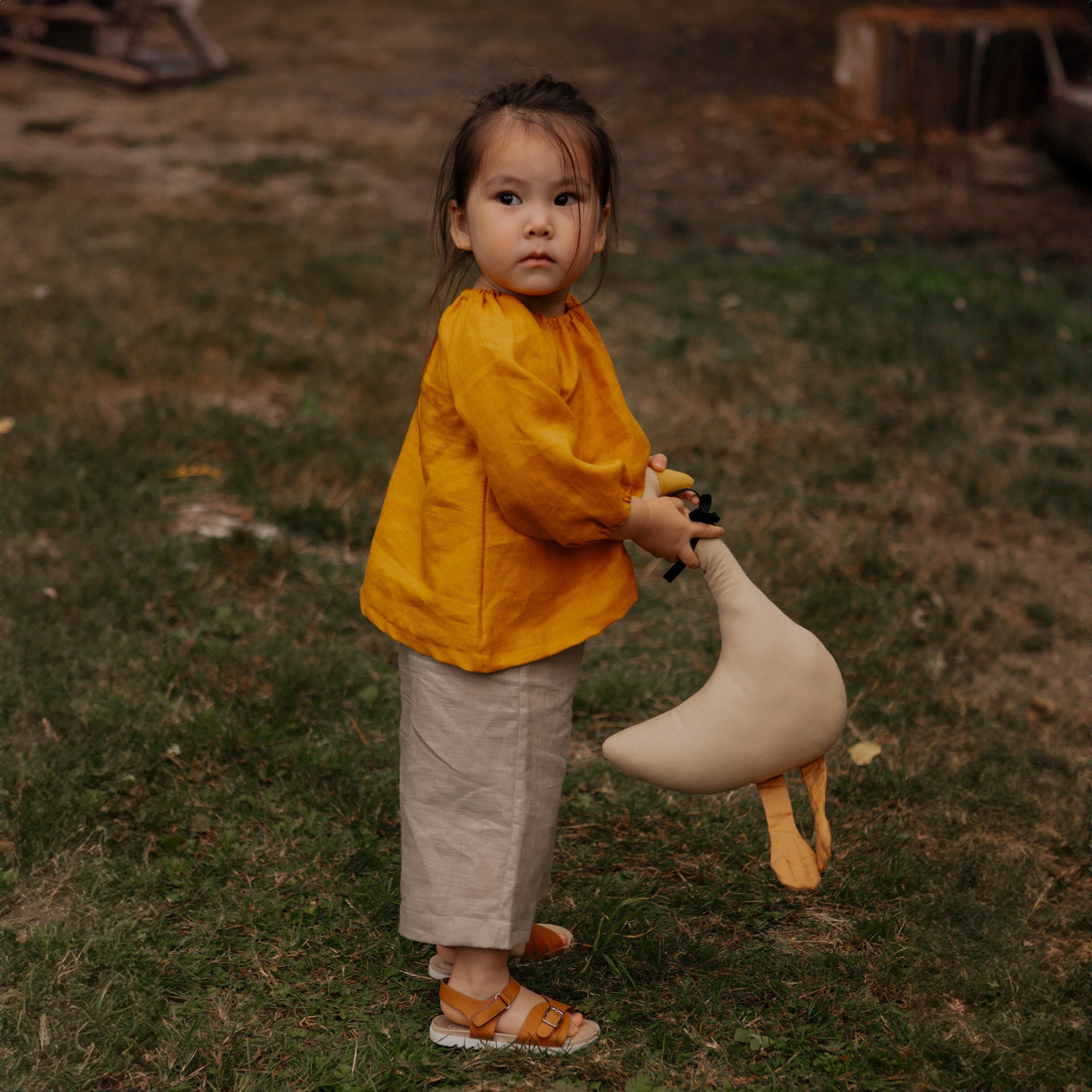 Balloon Sleeve Blouse
