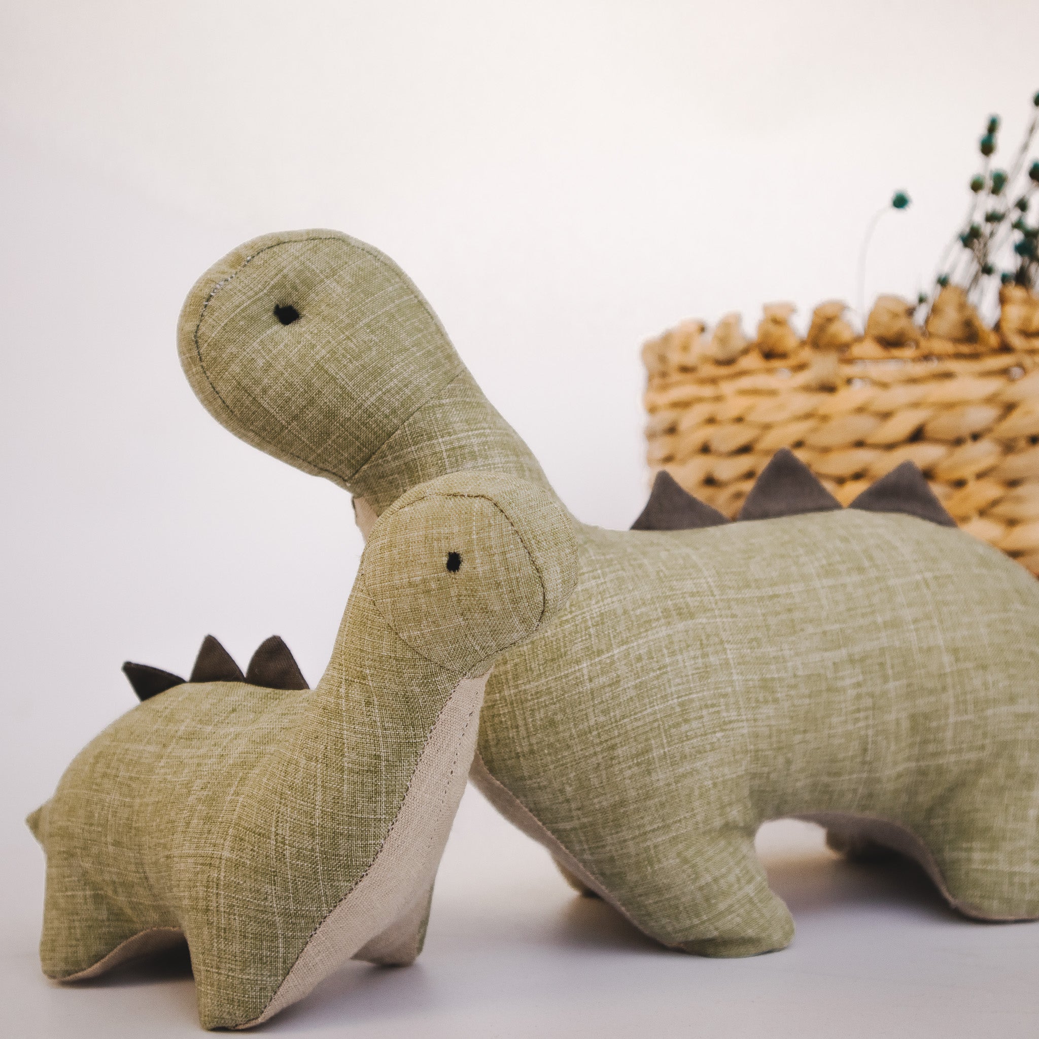 The Dinosaur soft toy